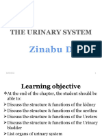 The Urinary System