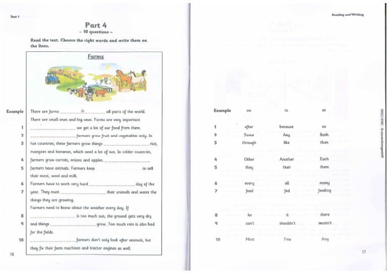 Reading Worksheet | PDF
