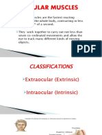 Ocular Muscles 1