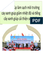 Cây Xanh Giúp Làm S CH Môi Trư NG