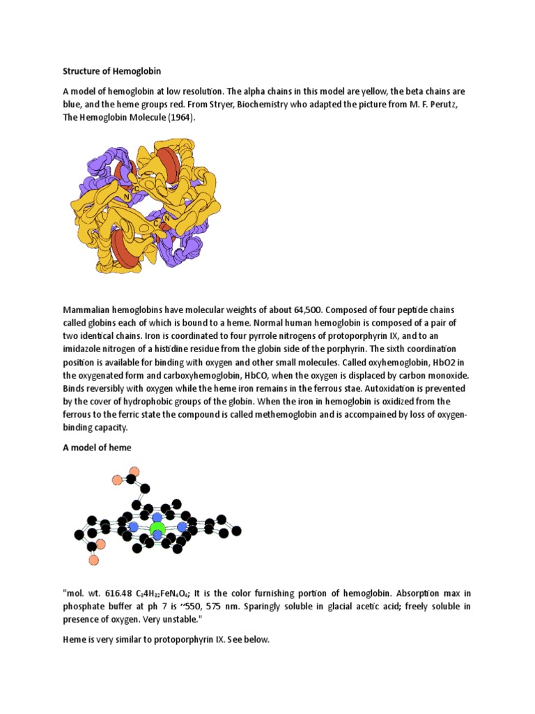 Hemoglobin structure diagram