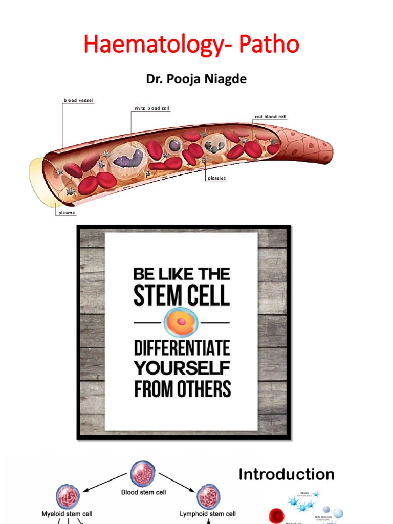 Haematology-Pdf - 1 | PDF | Lymphoma | Blood