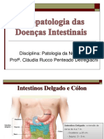 Fisiopatologia Das Doenças Intestinais 2020