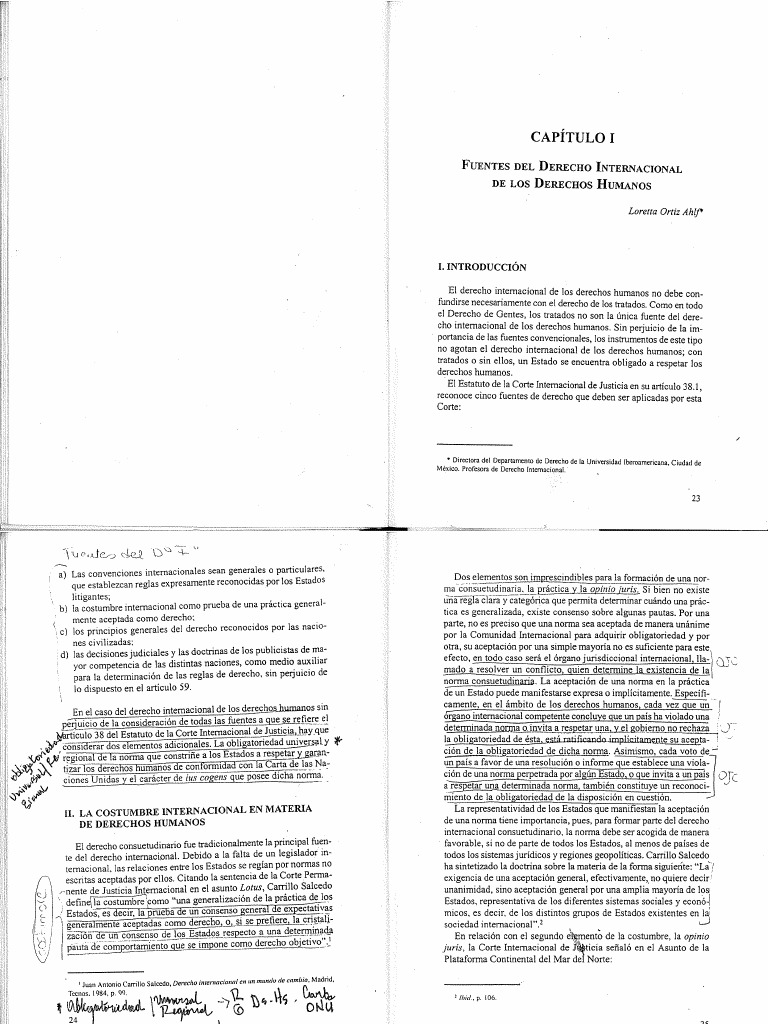 Fuentes Del Derecho Internacional de Derechos Humanos Loreta Ortiz ...