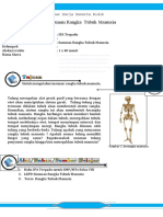 LKPD Kelas VIII Rangka PDF Free