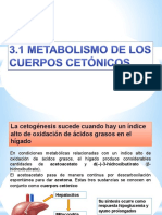 3.1 Metabolismo Cuerpos Cetonicos