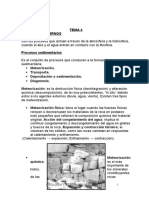 Manual Geologia Tema 4