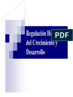 Crecimiento 2023 (Modo de Compatibilidad)