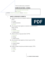 Doc. Examen de Anatomia