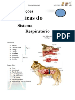 10 AULA Sistema Respiratorio