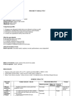 Proiect Didactic (3) .Docx1