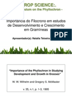 Importância do Filocrono em estudos de Desenvolvimento e Crescimento em Gramíneas - por Natalia Teixeira Schwab