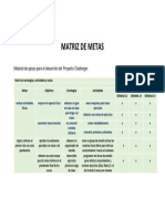 Matriz de Metas 13