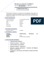 CV Modificable