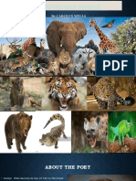 How To Tell Wild Animals Module 1