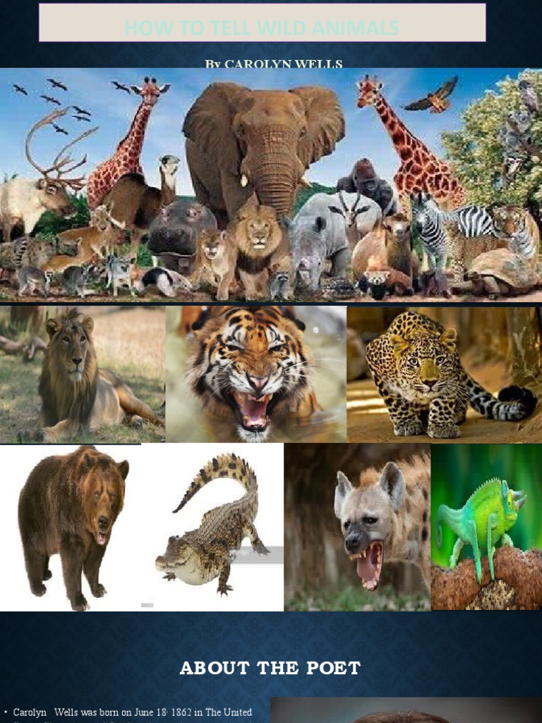 How To Tell Wild Animals Module 1 | PDF | Tiger | Poetry