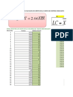 Plantilla Excel Datos Individuales Rango Movil1
