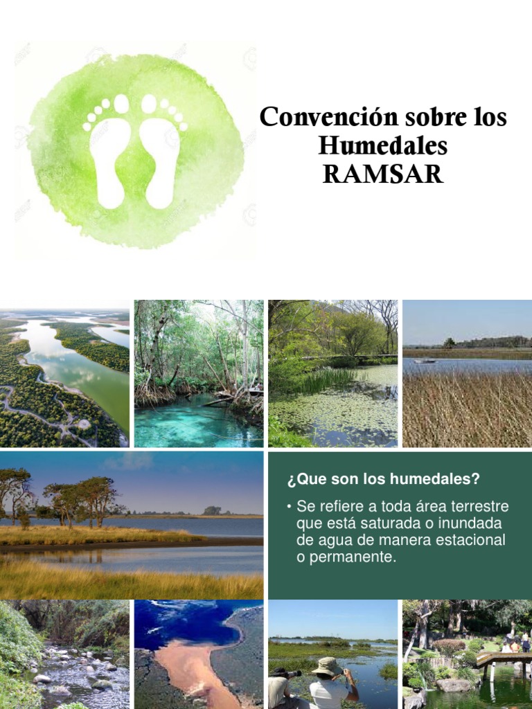 Conferencia 12. RAMSAR | PDF | Humedal | Tecnología Ambiental
