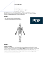 Práctico+t +óseo