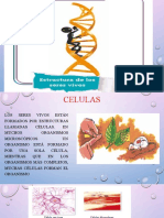 Biologia Animal y Vegetal, Celulas