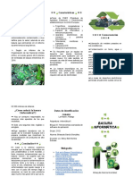 Folleto Informática Segundo Semestre