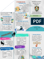 Triptico Psicologia Fisma