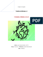 Trabalho de Biologia A - 1º Bimestre (Módulo 1,2,3 e 4)