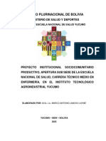 Proyecto Institucional