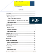 TEXTO GUIA PRACTICA MATEMATICAS 2023 (Autoguardado)