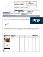 Anexo 10 - TALLER TAXONOMÍA