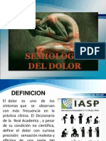 Semiología del Dolor: Alicia Fredusa | PDF