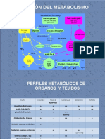 3.1 Sistemas Energeticos en El Ejercicio