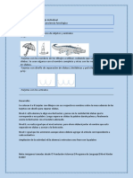 Conciencia Fonologica 3