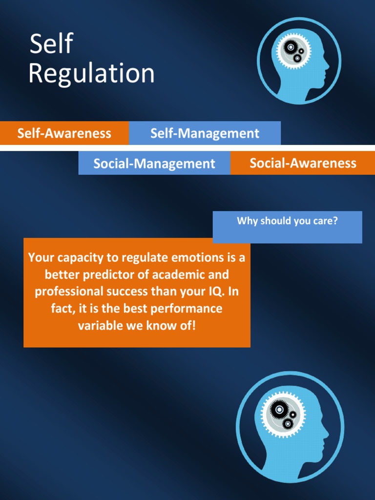 Self Regulation Process | Download Free PDF | Thought | Emotions