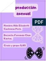 Reproducción Asexual Ailin Contreras