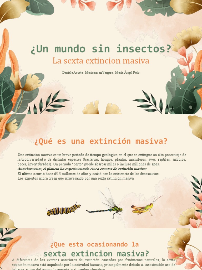 Insecto S | PDF | Insectos | Extinción