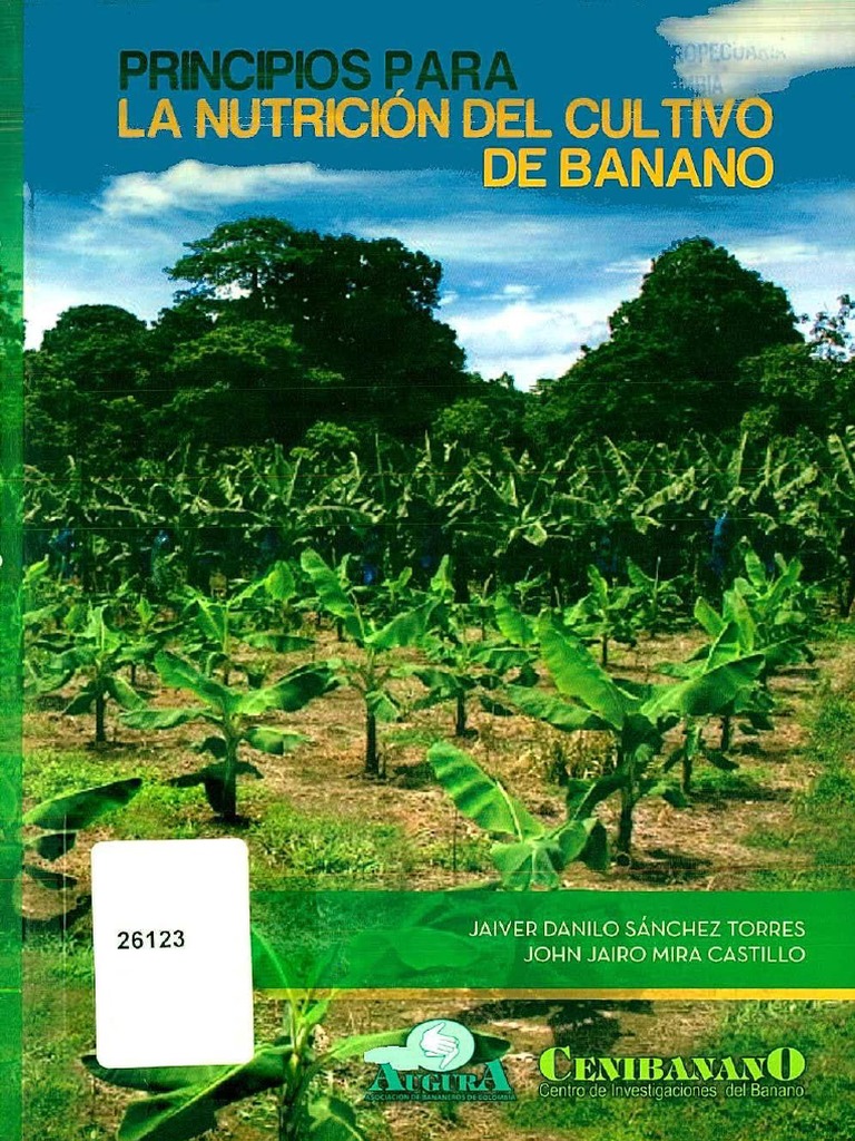 Principios Para La Nutricion Del Cultivo Del Banano Pdf Tallo De La