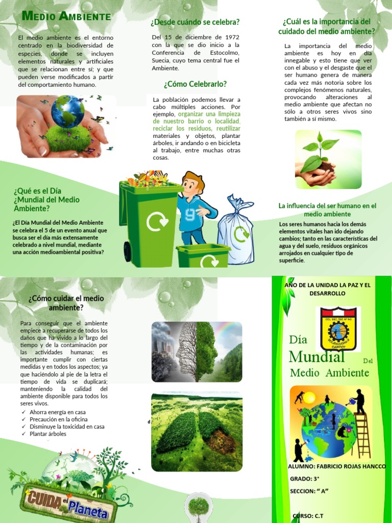 Cuidado del Medio Ambiente y su Importancia | PDF | Entorno natural ...
