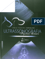 Resumo Ultrassonografia em Pequenos Animais Cibele Figueira Carvalho
