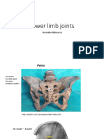 Joints of The Lower Limb