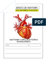 Apostila-Anatomia-Sistema-Circulatorio - Docx Ok Alunos