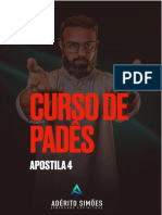 Curso Pades 4