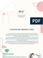 Presentacion Del PUC