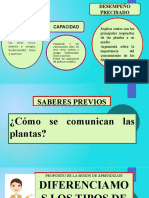 Pawer Poin Sobre La Funcion de Relacion en Las Plantas 4to - 2023