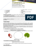 Práctica de Laboratorio Celula Animal y Vegetal