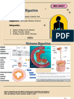 Histologia - Sistema Digestivo