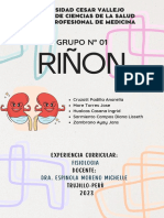 RIÑON