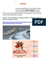 El Dengue Informe