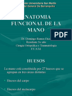 Anatomia Funcional de La Mano