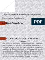 Auditoria Ambiental